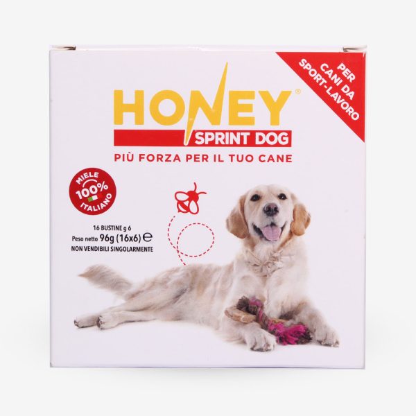 Honey Sprint Dog
